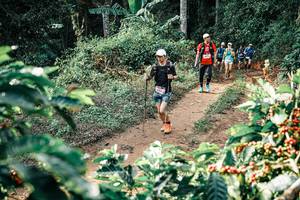 BIB: 
                            <button type="button" onclick="openModal(25852091)" class="btn btn-primary btn-sm float-right btn-popup" data-toggle="modal" data-target=".modal-high-quality">
                        <i class="fas fa-shopping-cart"></i> Add to Cart
                    </button>
                                            <button type="button" onclick="isThisMe(25852091, true)" class="btn btn-success btn-sm float-right btn-popup btn-isme hidden" data-toggle="tooltip" data-placement="bottom" title="นี่คือรูปของคุณใช่ไหม คลิกที่นี่เพื่อเอาเข้าอัลบั้ม">
                        <i class="fas fa-plus"></i> Add to album
                    </button>
                    <button type="button" onclick="isThisMe(25852091, false)" class="btn btn-warning btn-sm float-right btn-popup btn-isnotme hidden">
                        <i class="fas fa-ban"></i> Remove from album
                    </button>